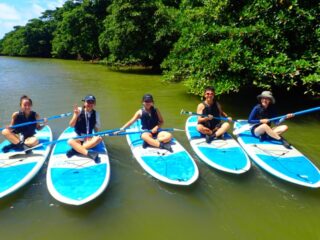 【1日】SNS映え絶景巡り＆マングローブ探検！石垣島フォトツアーと水上散歩
