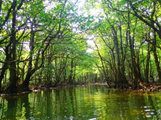 Great nature without complaints! Fukidougawa canoe & Trekking tour