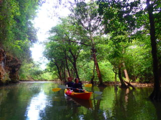Super   classic!   It’s  a   canoe   tour  through  the  mangrove  forest   of   naturalmonuments