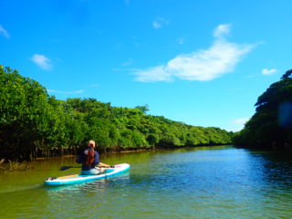 Natural Monument is the field! New feeling mangrove SUP tour