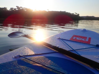 A refreshing moving experience from the morning! Sunrise SUP tour