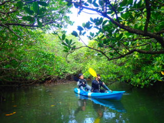 Great nature without complaints! Fukidougawa canoe & Trekking tour