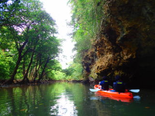Super   classic!   It’s  a   canoe   tour  through  the  mangrove  forest   of   naturalmonuments