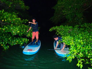 寂静的新体验！夜晚红树林&星空SUP（站立式划水）之旅