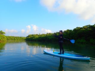 Natural Monument is the field! New feeling mangrove SUP tour