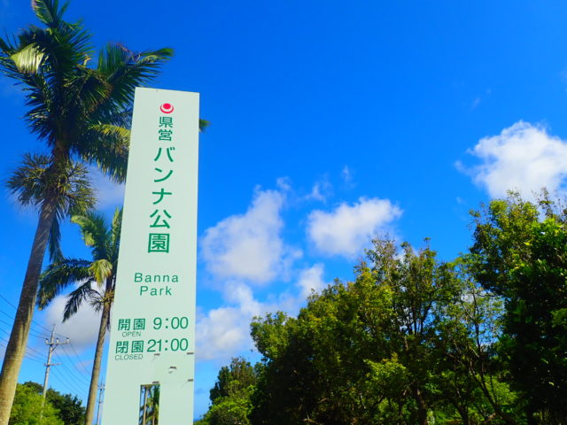 石垣島のドライブの県営バンナ公園