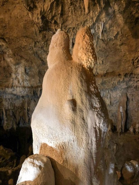 石垣島ドライブの鍾乳洞　トトロのような鍾乳石