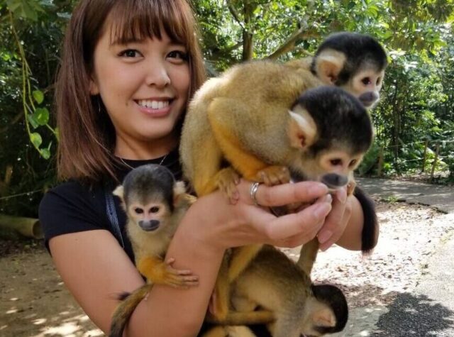 やいま村でリスザルと遊ぶ