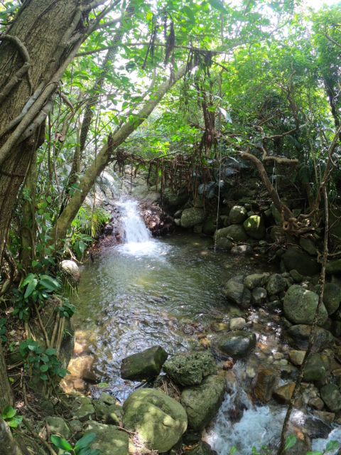 石垣島の秋の荒川の滝