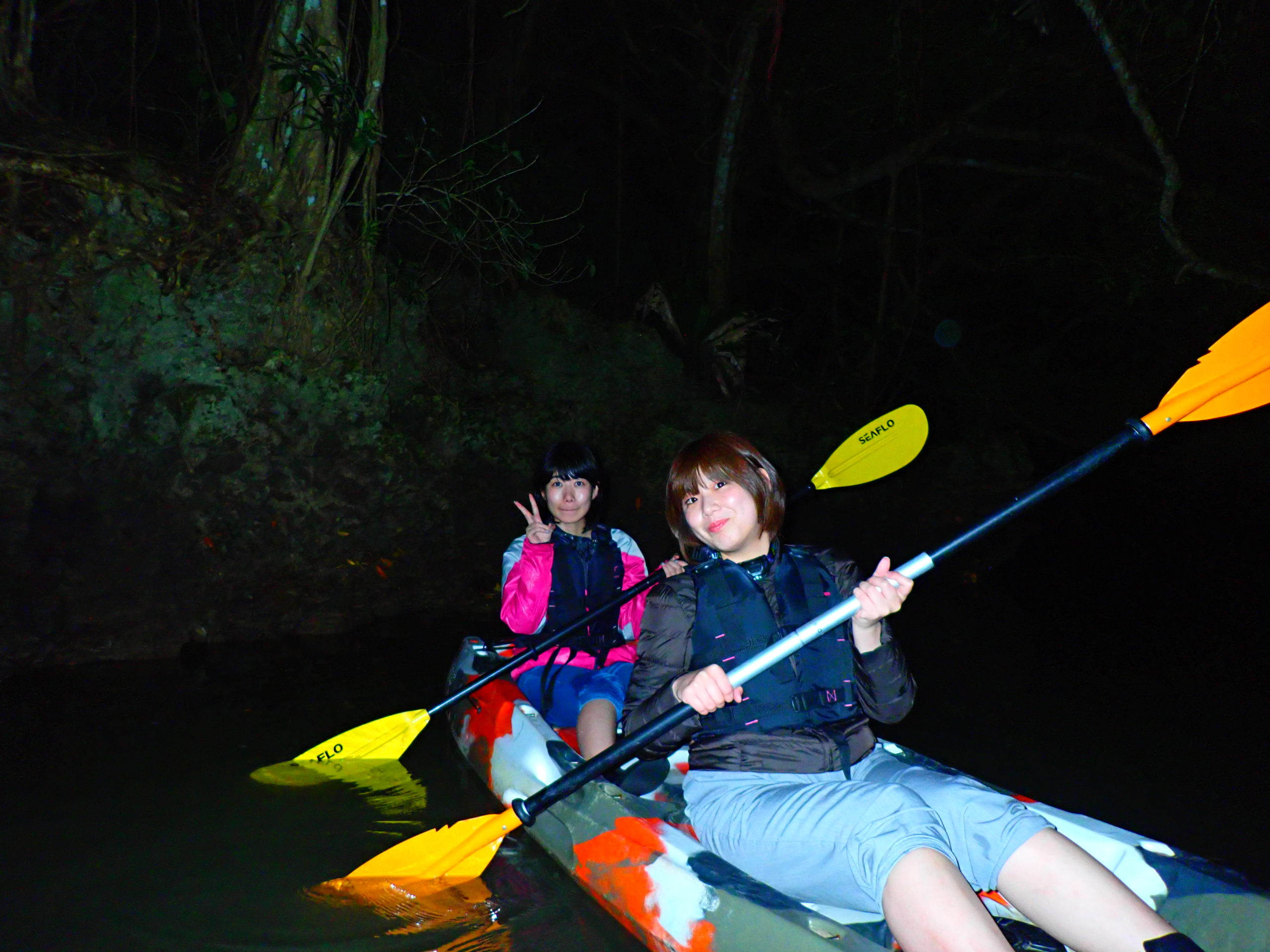 石垣島カヤック 夜で気分は大冒険 ドキドキ ナイトマングローブ 星空 カヤックツアー 石垣島 Adventure Pipi ピピ