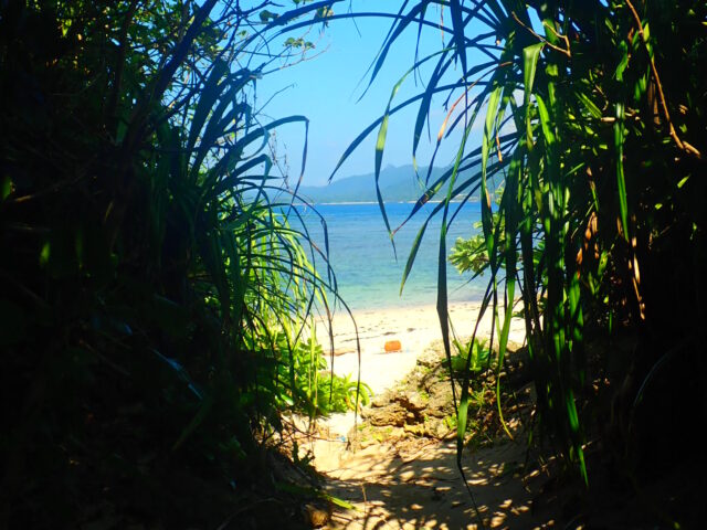 石垣島の青の洞窟までにいくビーチ