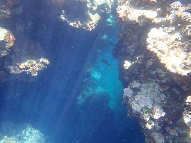 石垣島の青の洞窟シュノーケリング