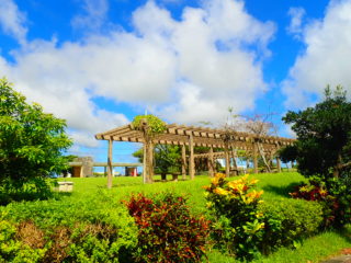 石垣島のカップルのバンナ公園