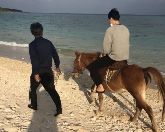 石垣島　乗馬体験