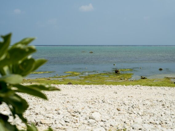 石垣島のビーチの白保海岸