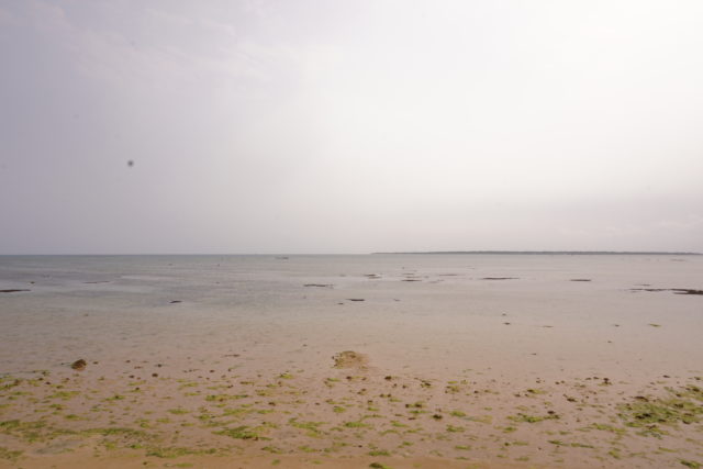 石垣島のビーチのシャニシャニビーチ
