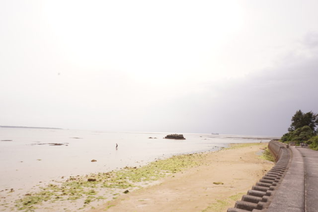 石垣島のビーチのシャニシャニビーチ