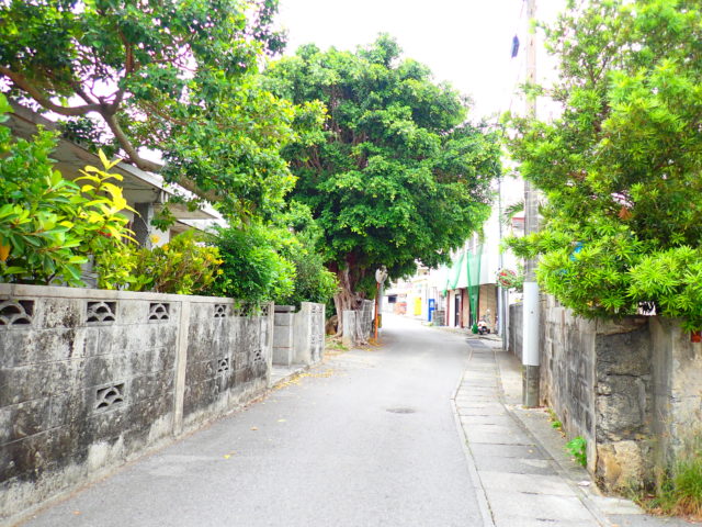 石垣島の観光スポットの国吉家のガジュマル巨木