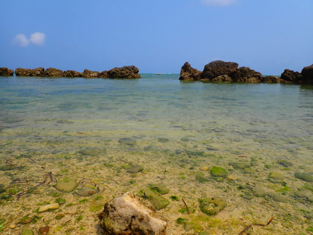 石垣島のビーチの白保海岸の行き方と遊び方について 石垣島在住スタッフが徹底解説します 石垣島 Adventure Pipi ピピ