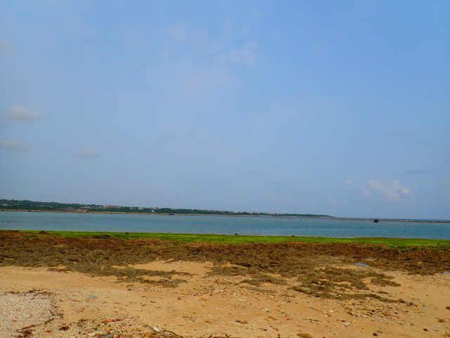 石垣島のビーチの大浜ビーチ