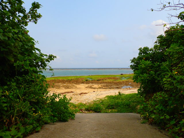 石垣島のビーチの大浜ビーチ