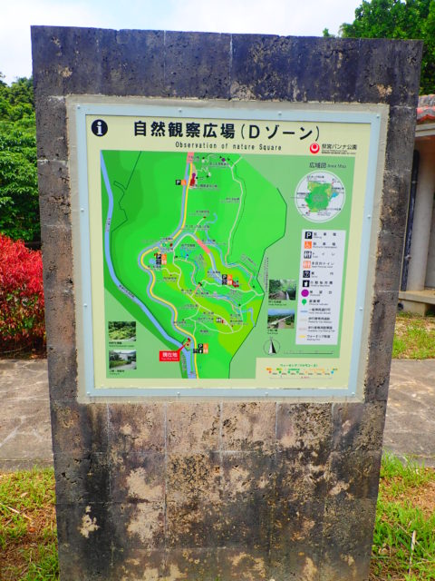 石垣島の観光スポットのバンナ公園