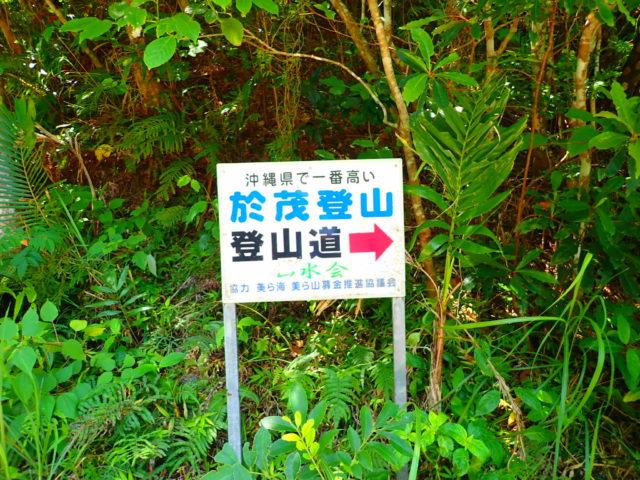 石垣島の観光スポットの於茂登岳