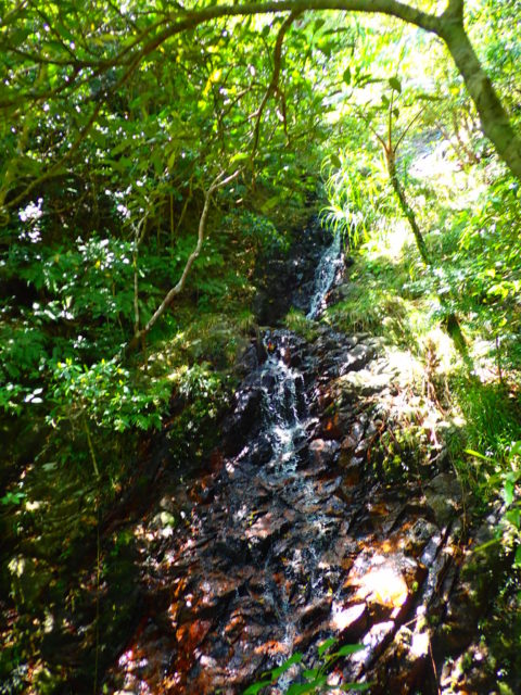 石垣島の観光スポットの於茂登岳の滝