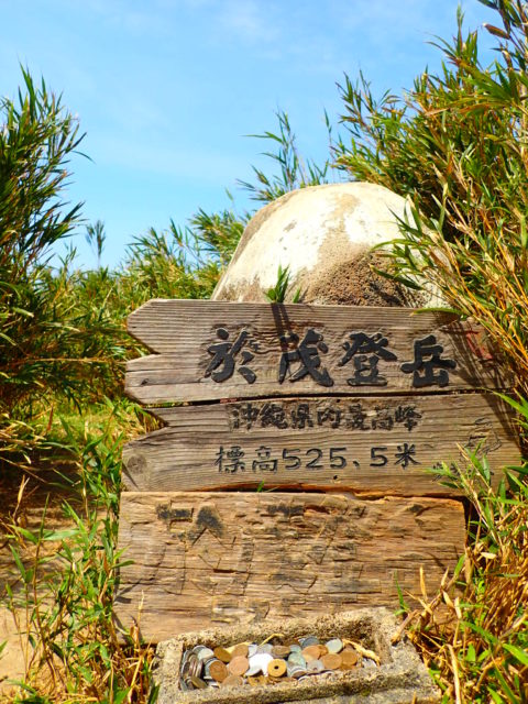 石垣島の観光スポットの於茂登岳