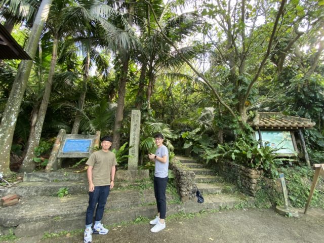 石垣島の観光スポットの米原のヤエヤマヤシ群落