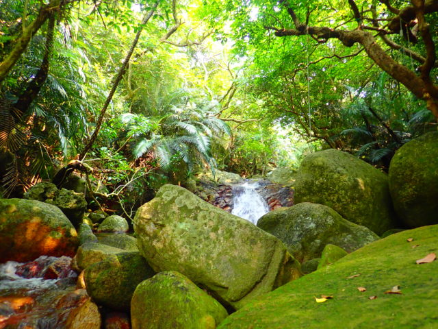 石垣島の観光スポットの荒川の滝