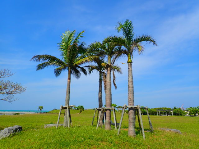 石垣島の観光スポットの南ぬ浜町緑地公園
