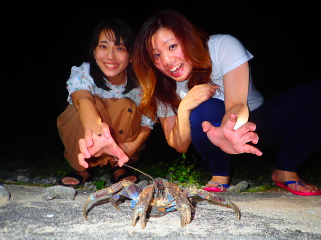 石垣島でヤシガニと撮影