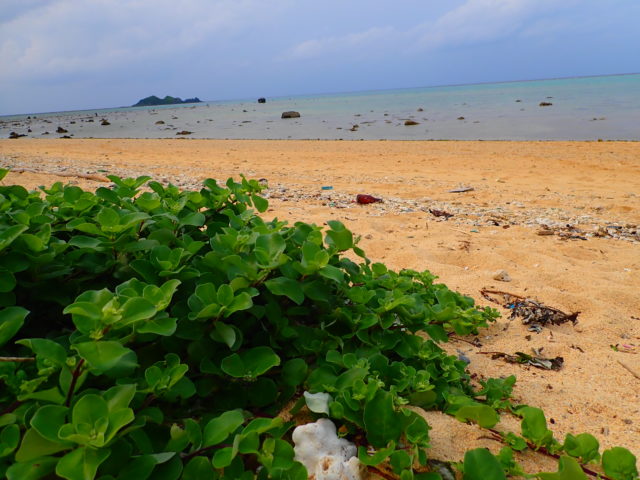 石垣島のビーチの平野ビーチ