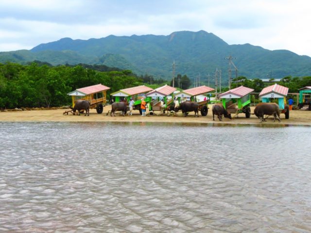 由布島