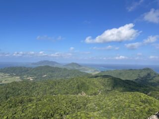 【1日】吹通川マングローブSUP/カヌー&野底岳トレッキング