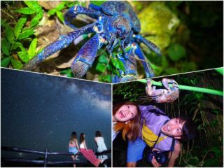 【夜】星空&亜熱帯ジャングルナイトツアー！天然のプラネタリウム体験！