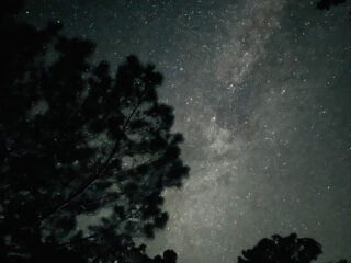 【夜】星空&亜熱帯ジャングルナイトツアー！天然のプラネタリウム体験！