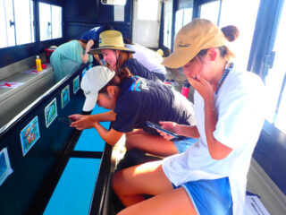 【1日】定番スポット満喫！青の洞窟シュノーケリング＆川平湾グラスボート体験