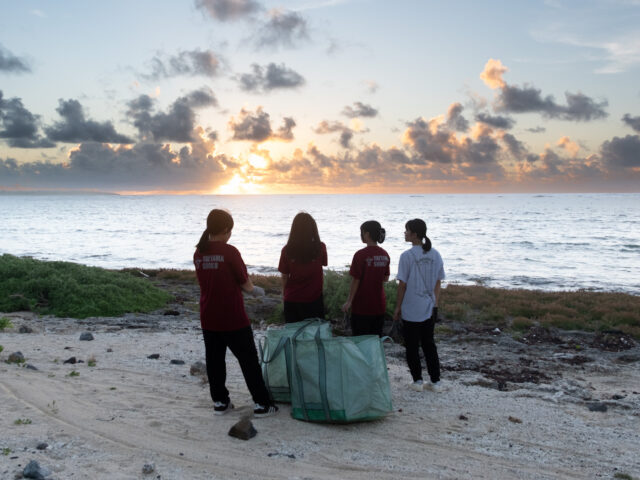 ビーチクリーン