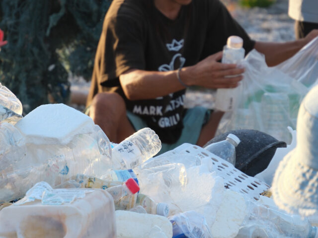 ビーチクリーン