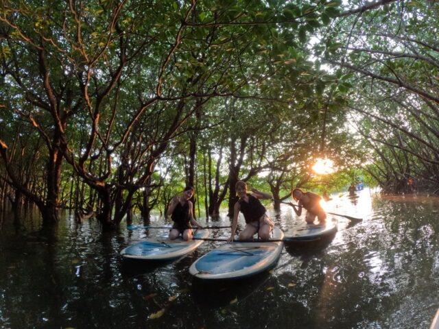 サンセット　SUP