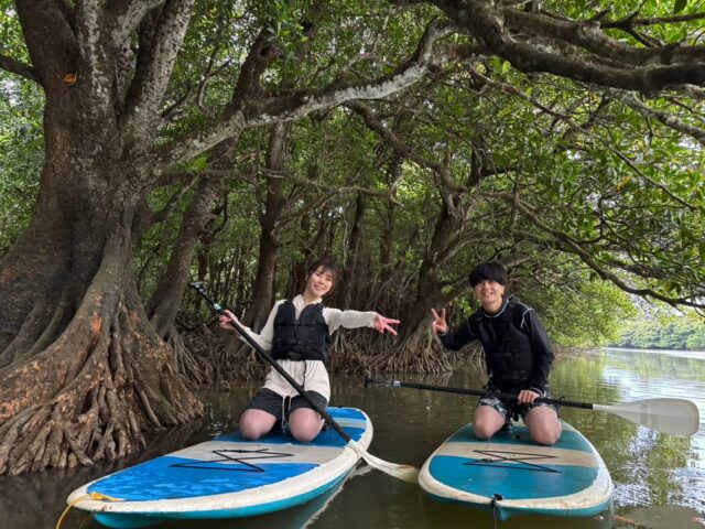 宮良川マングローブ