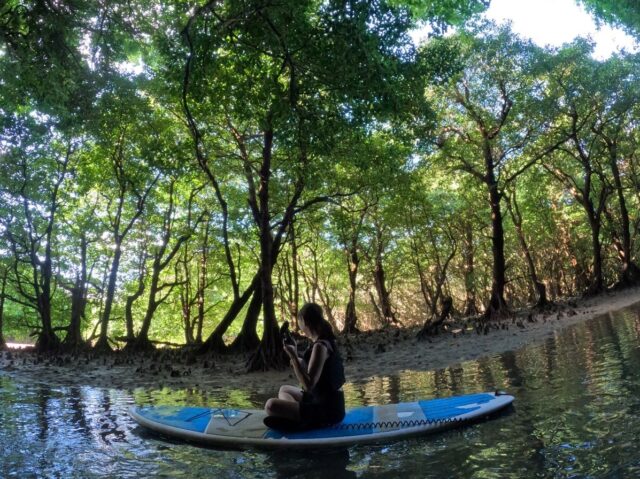 宮良川マングローブSUP