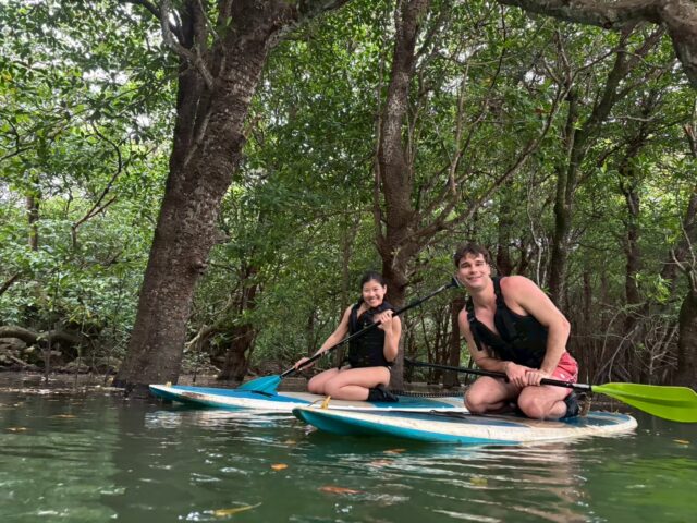 マングローブSUP