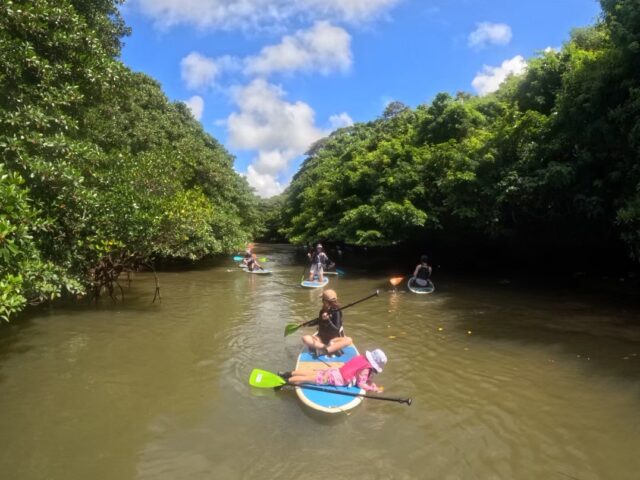 宮良　マングローブ　SUP