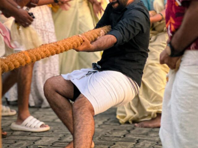 綱引き　フリー画像