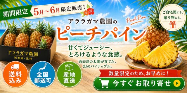 沖縄ちゅらストア　KV