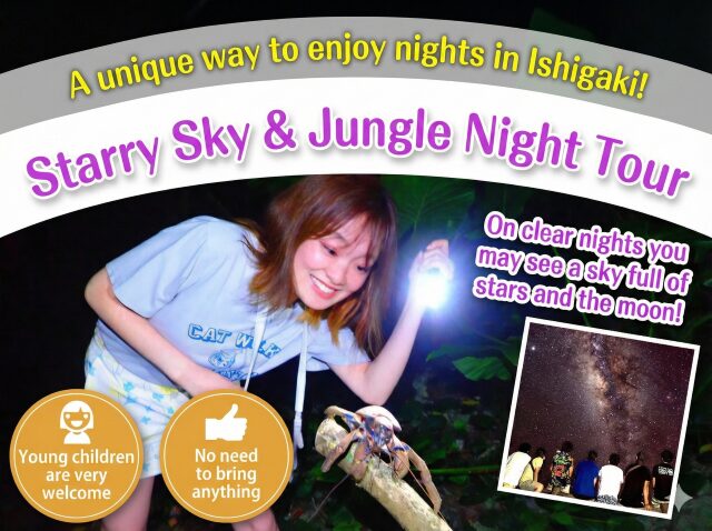 Ishigaki Island Night Tours