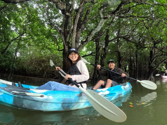マングローブ　カヌー